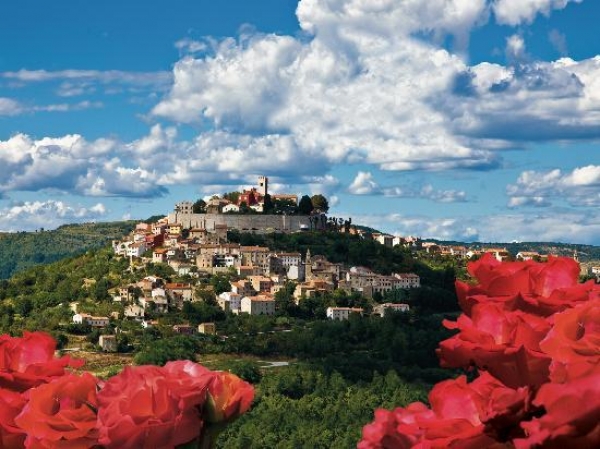 Truffles in Croatia: The Gourmet Tour of Istria